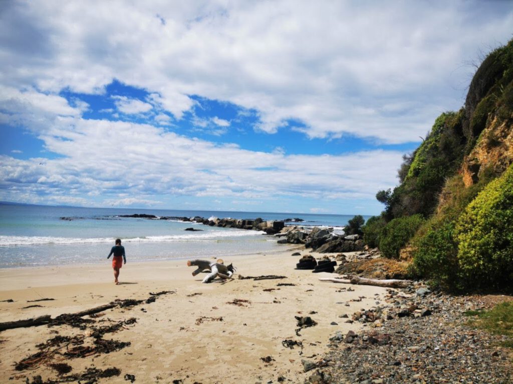 Kākā Point Beach in the Catlins, New Zealand