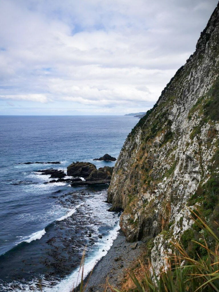 View from nugget point in the catlins new zealand