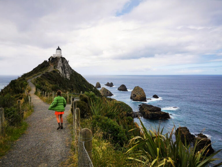 A Travel Guide to the Catlins, New Zealand
