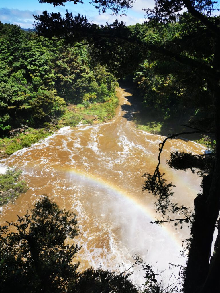 Kerikeri River walk to Rainbow Falls, Bay of Islands, New Zealand