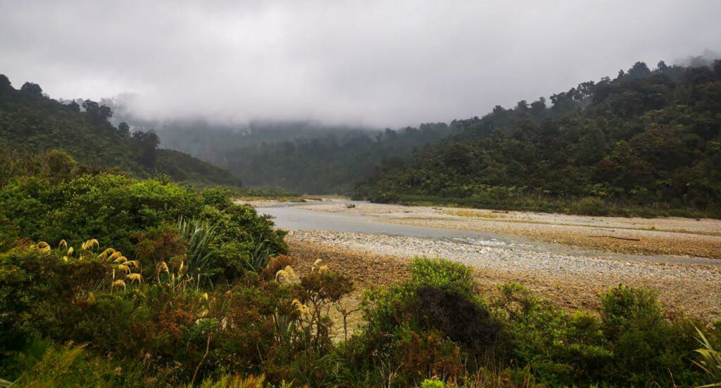 Fox River, West Coast New Zealand