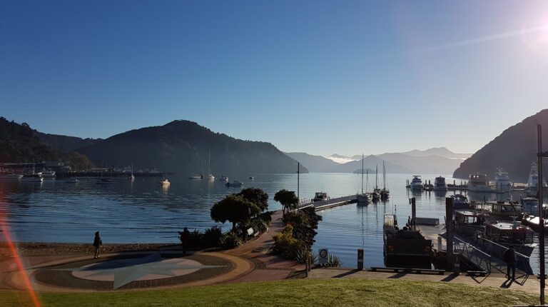 10 Best Budget Accommodation Options in Picton, New Zealand