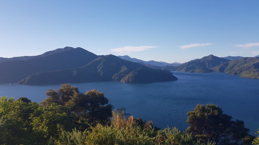 View from boutique hotels in picton, New zealand
