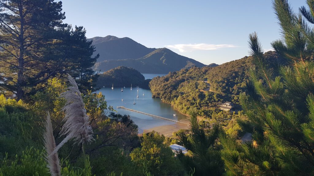 views over the Marlborough sounds, picton, New zealand