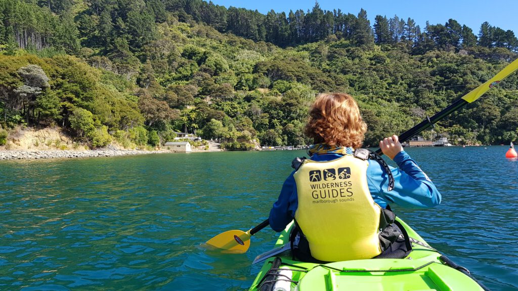 Kayaking through the sounds from Havelock, New Zealand