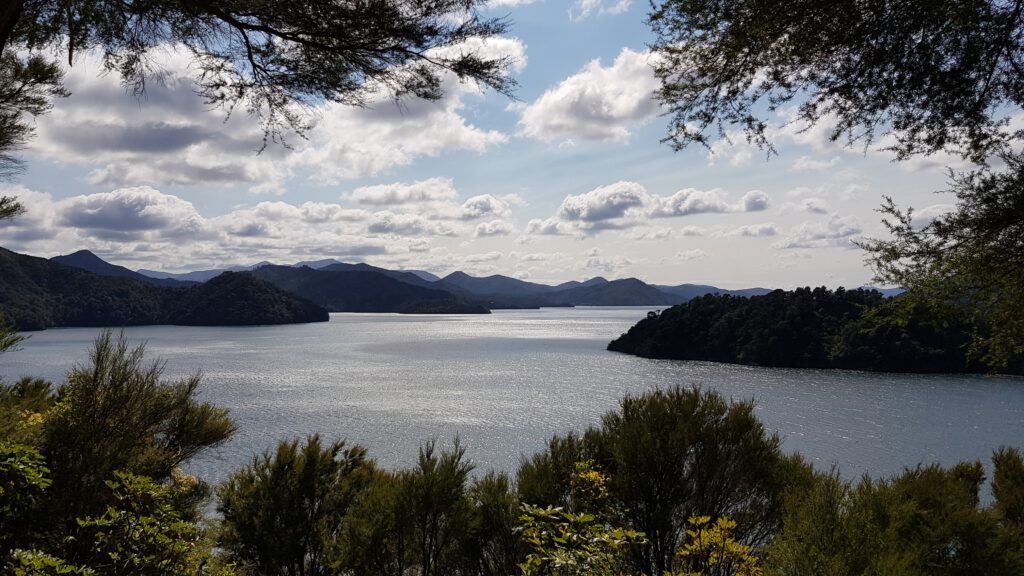 View of Queen Charlotte Sound, Picton, New Zealand