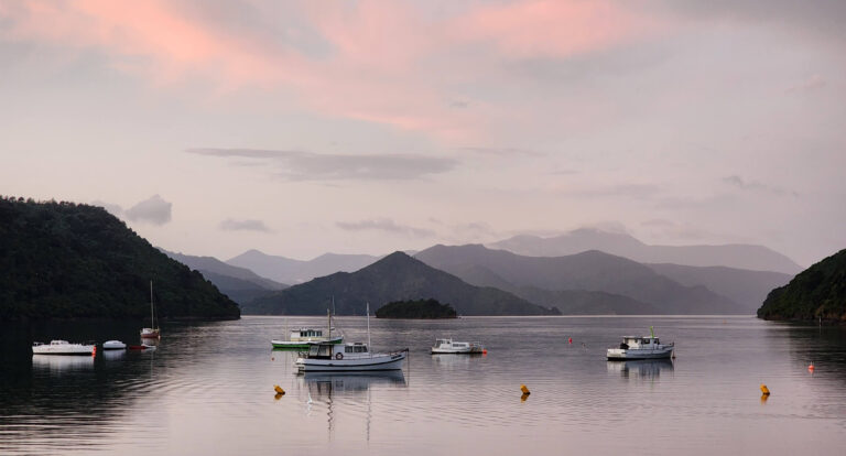 A Travel Guide to Picton, New Zealand