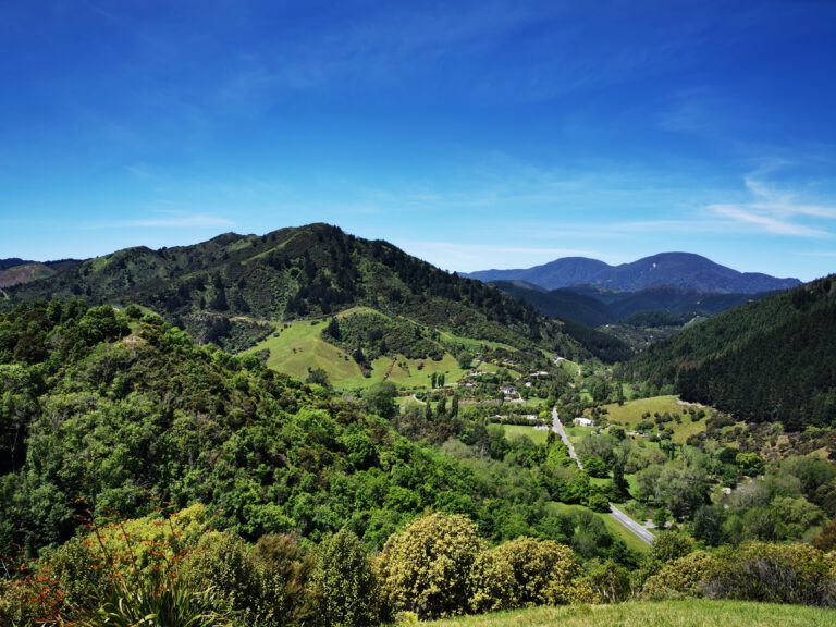 The Best Places to Stay in Nelson, New Zealand