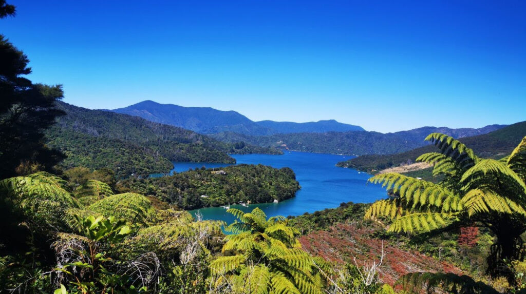 view of the Queen Charlotte Sound from a boutique hotel Picton, New Zealand