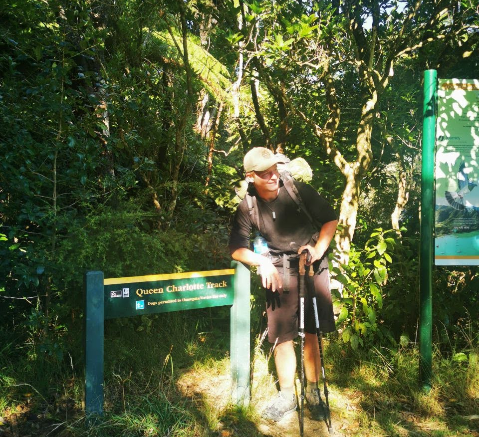 Hiking the Queen Charlotte Track, Marlborough Region New Zealand