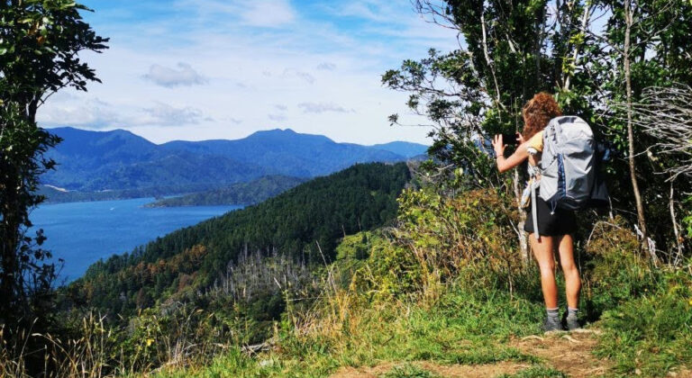 6 Days Hiking the Queen Charlotte Track!