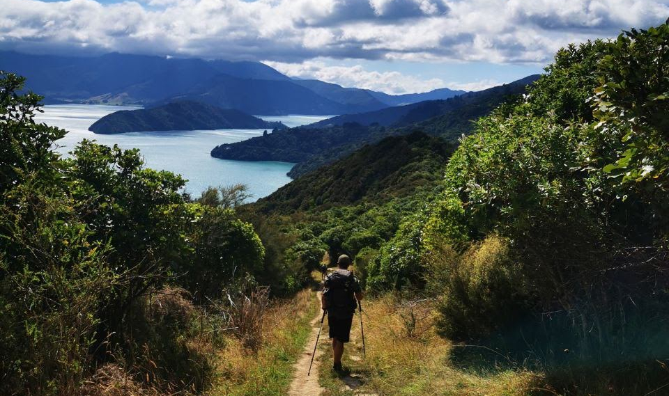 hiking the the Queen Charlotte track, New Zealand