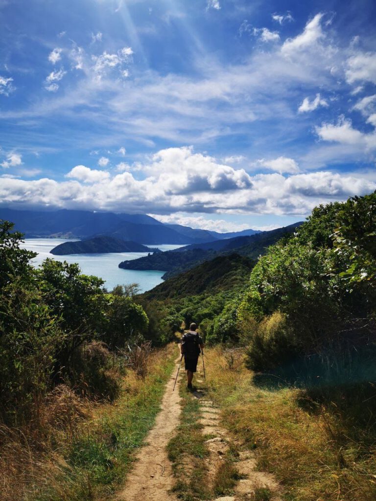 Hiking the Queen Charlotte Track, Picton, New Zealand