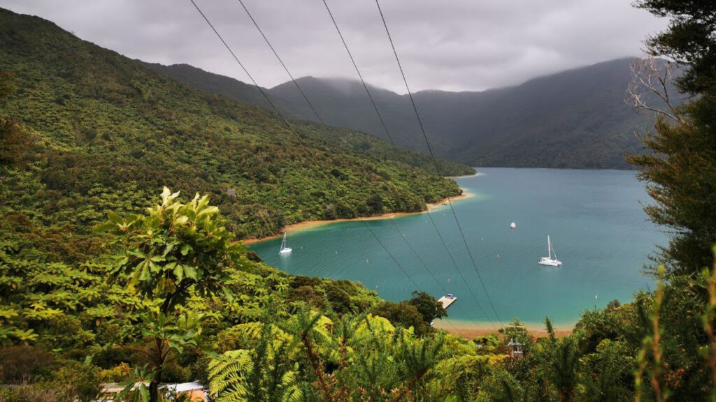 Hiking the Queen Charlotte Track, Picton, New Zealand