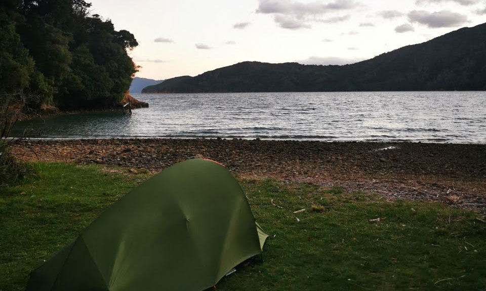 Campground along Queen Charlotte Track, picton, New zealand