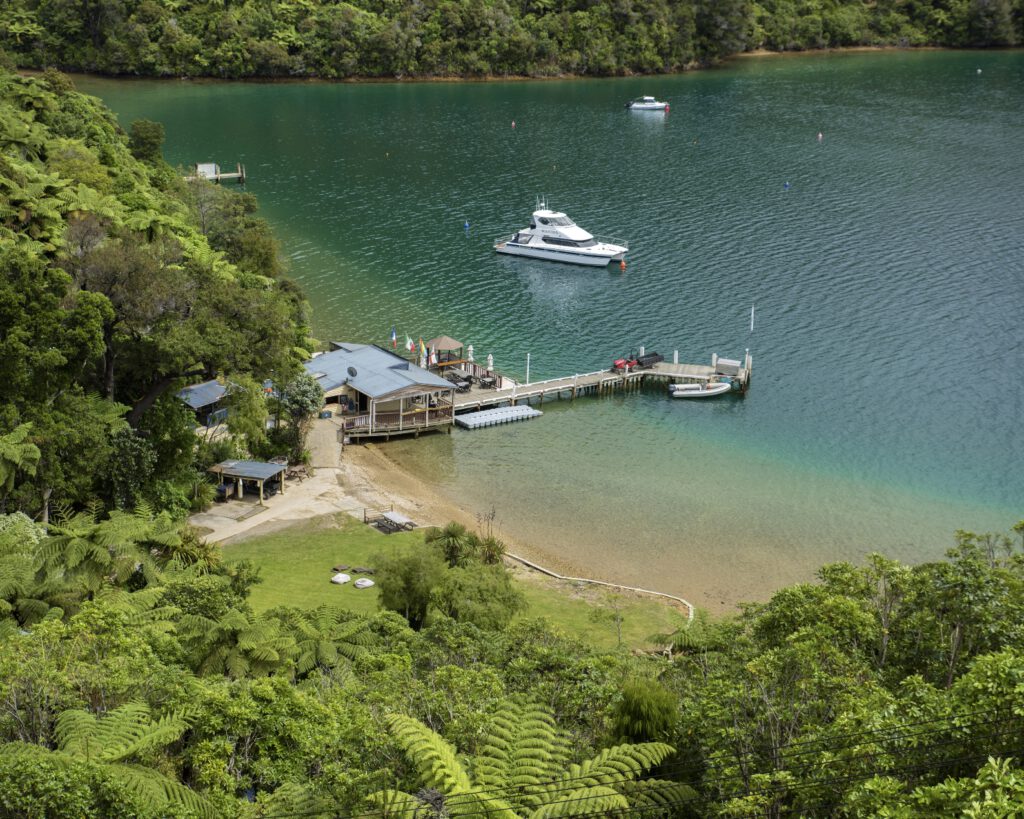 Punga Cove Boutique Accommodation in Picton, New Zealand