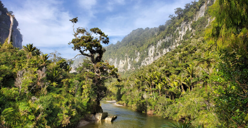 Poroari River, Paparoa National Park, West Coast of New Zealand