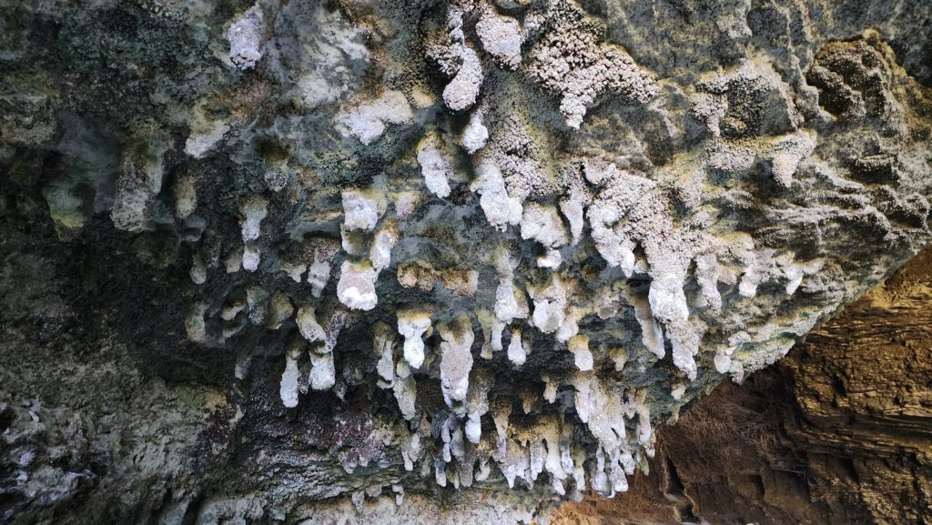 inside the caves at Ōpārara Arches , New Zealand