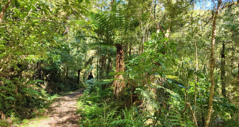 The Best Short Walks in Karamea, New Zealand