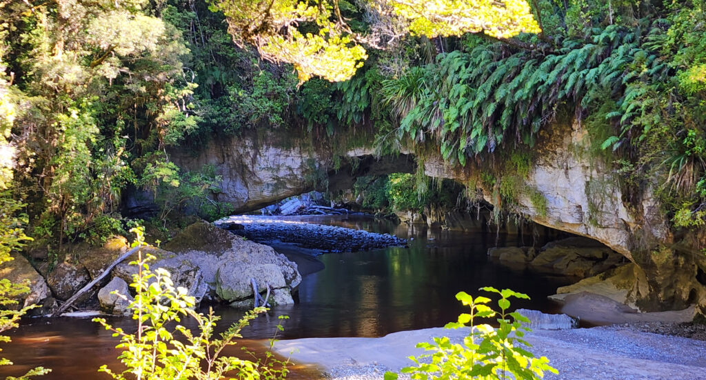 Ōpārara basin hikes in Karamea, New Zealand