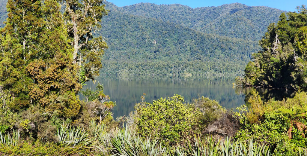 Lake Hanlon, short walks in Karamea, New Zealand
