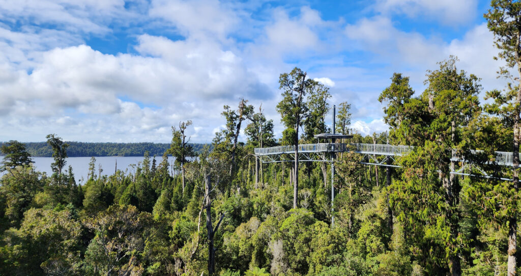 West Coast Treetops walkway,  things to do in Hokitika, New Zealand