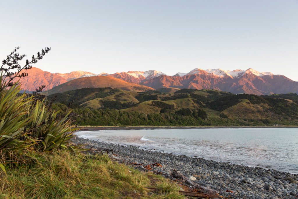 Top free things to do in Kaikoura, New Zealand