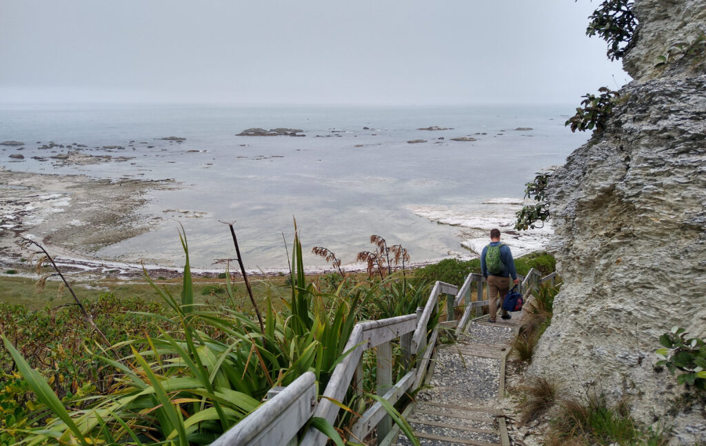 Whalers bay, Top free things to do in Kaikoura, New Zealand