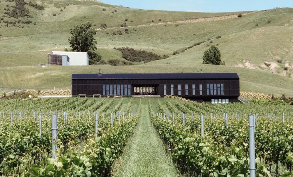 Black estate vineyard,Things to Do on the drive from Christchurch to Kaikoura