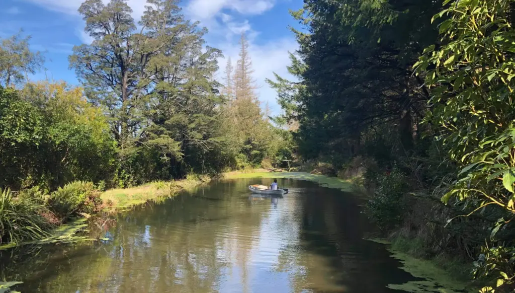 Rowboat on lake, Washpen Falls Track, Canterbury, New Zealand