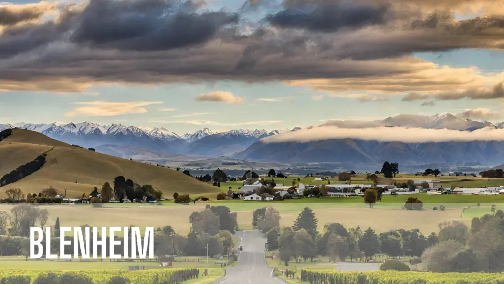 Blenheim, Marlborough region of New Zealand