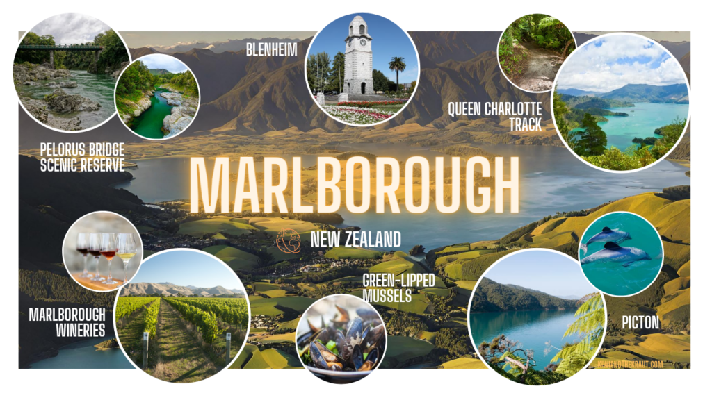 An infographic on the best activities and things to do in the Marlborough region of the South Island of New Zealand