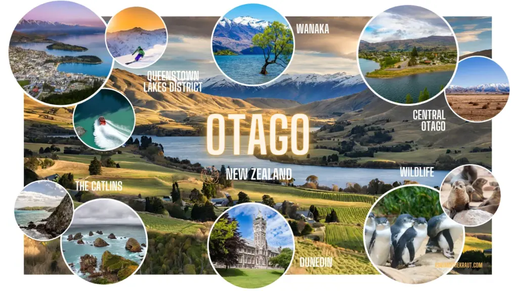 An infographic on the attractions in the Otago Region of New Zealand