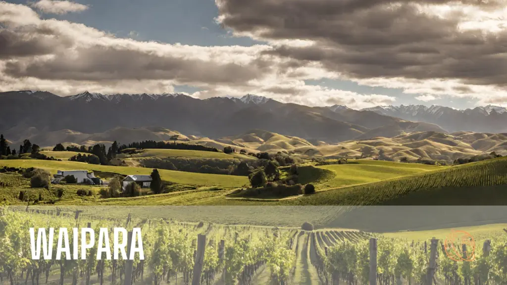 Waipara, Canterbury Region of New Zealand