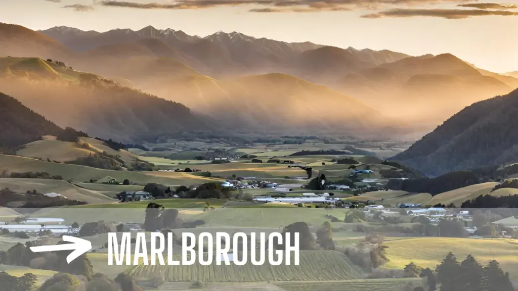 Marlborough South Island of New Zealand