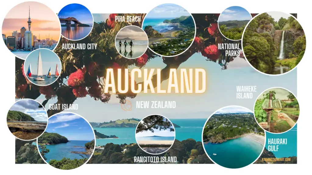 An infographic showing the best things to do in the Auckland Region of New Zealand