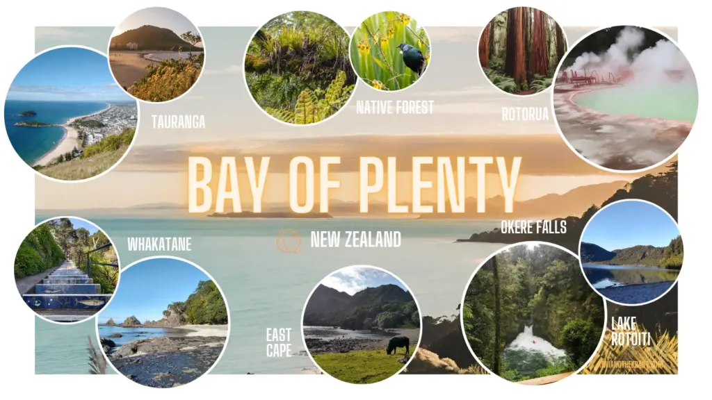 Infographic on the Bay of Plenty Region of New Zealand