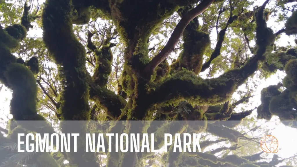 Egmont National Park, Taranaki Region of New Zealand