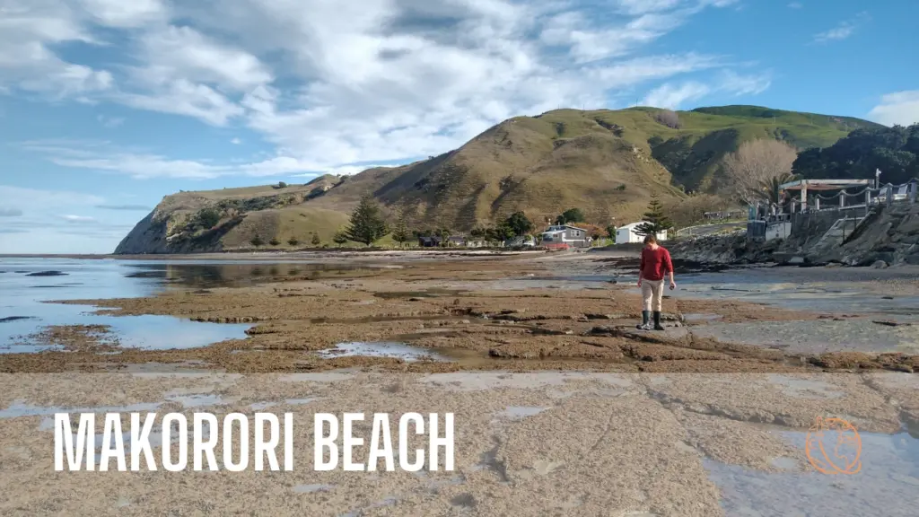 Makorori Beach Gisborne Region of New Zealand