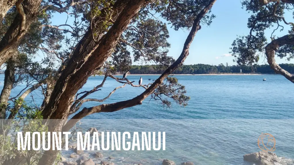 Mount Maunganui Bay of Plenty Region New Zealand