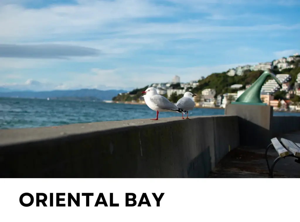 Oriental Bay Wellington