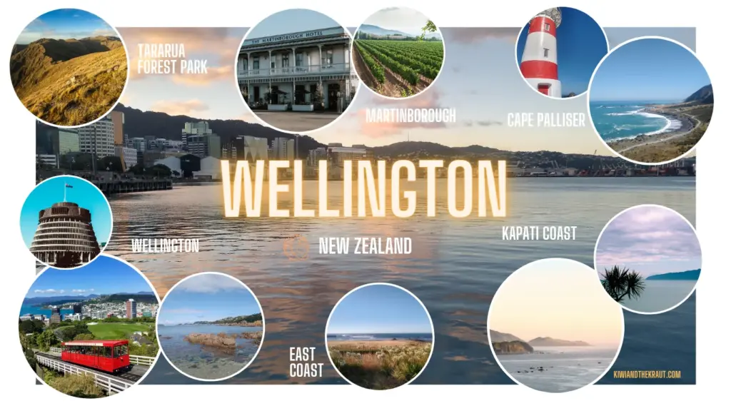 An infographic showing the best places to visit in the Wellington Region of New Zealand