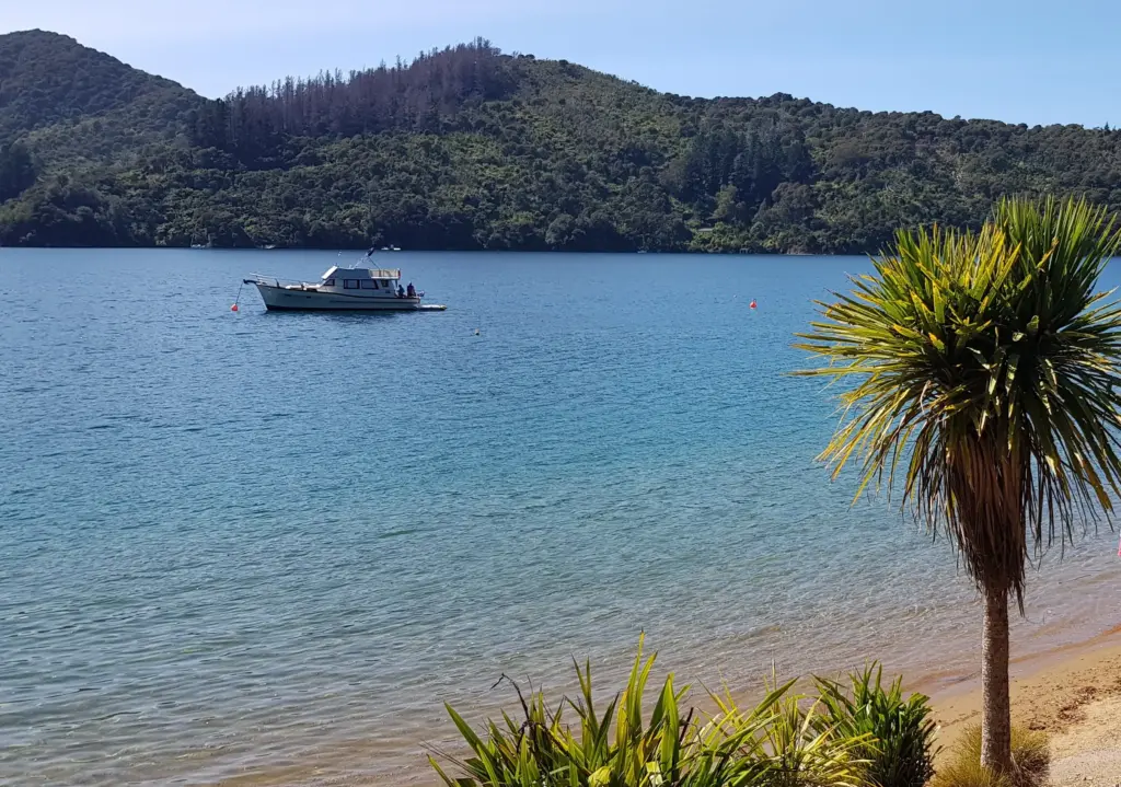 Governors Bay, Drive from Picton to Nelson via Queen Charlotte Drive