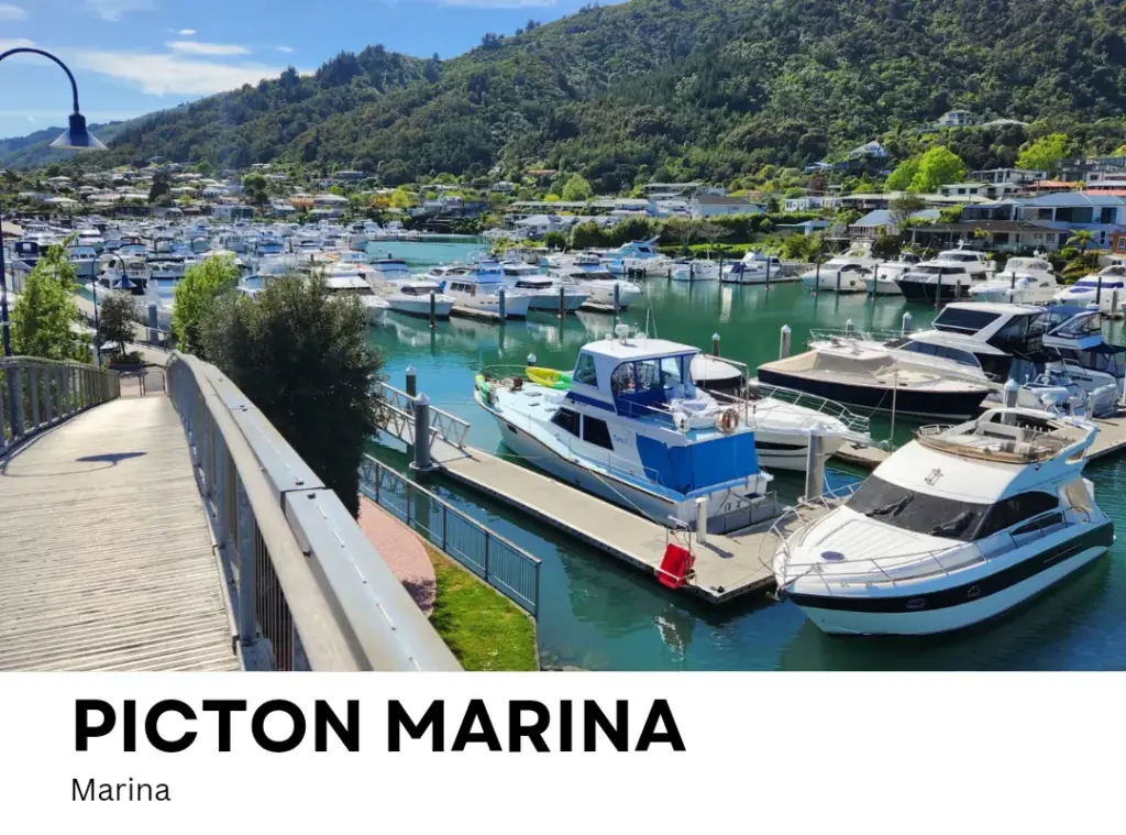 Marina things to do in Picton New Zealand