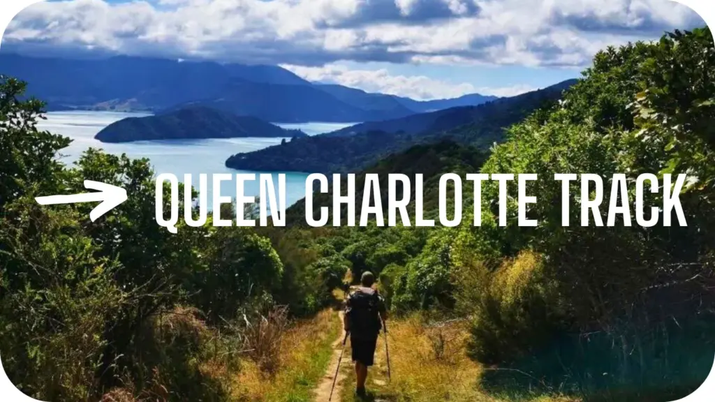 Queen Charlotte Track, on the Drive from Picton to Nelson via Queen Charlotte Drive
