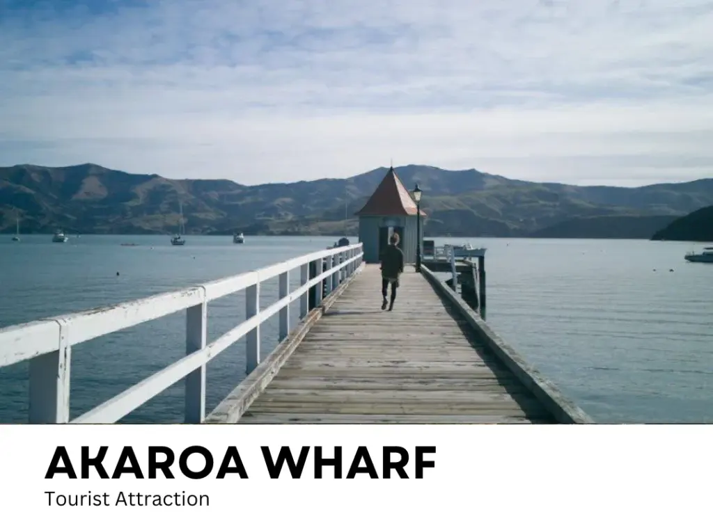 Walk down the wharf, Things to Do in Akaroa, New Zealand