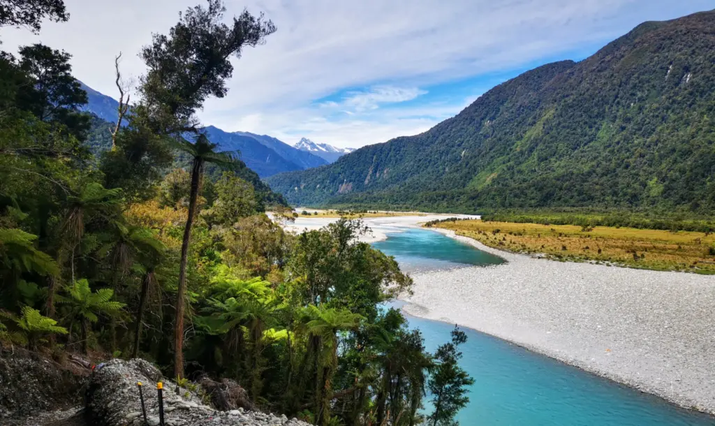 Copland Track Hike, Best stops on the West Coast Road Trip, South Island New Zealand