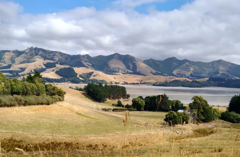 Christchurch to Akaroa: Driving through Banks Peninsula