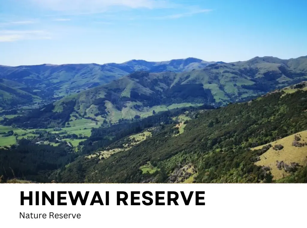 Hinewai Reserve, Things to Do in Akaroa, New Zealand