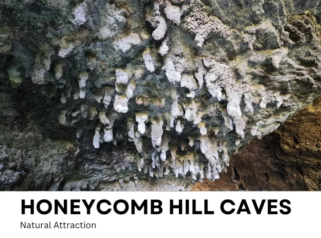 Honeycomb hill caves, Karamea, Best stops on the West Coast Road Trip